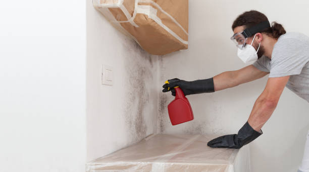 Professional Crawl Space Mold Remediation technician working in Sims, NC